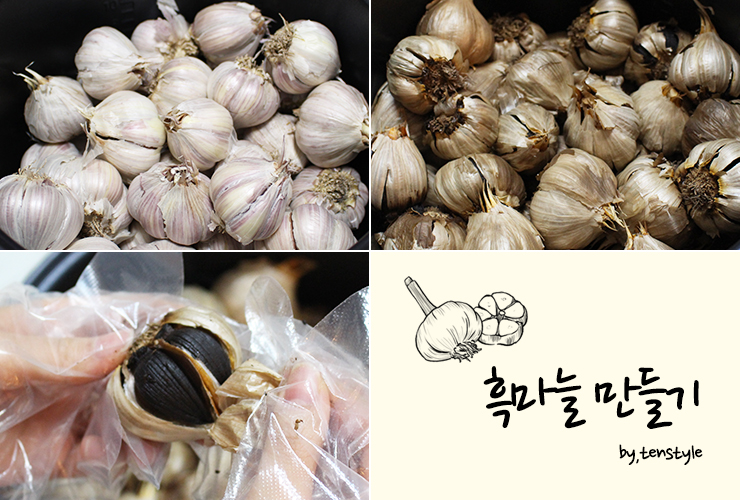  만성피로에 좋은 흑마늘 만들기 도전!