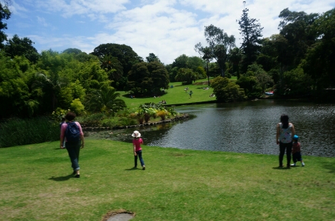 [호주 혼자여행] #2015.01.18 ;2일차 멜번 시티투어/멜번 로열 보타닉가든(Royal Botanic Garden)/멜번 트램/트램타는법  2탄!!