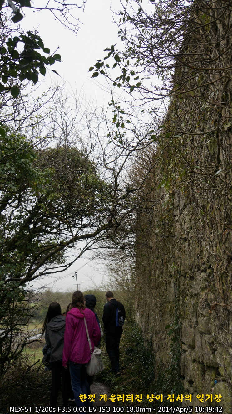  140405일/12일/Ireland] Cliffs of Moher & Dublin