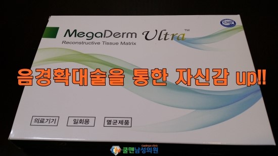  대체진피 메가덤 남성확대 비용은?