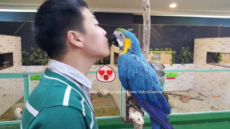  20150124 전주 객사 애니멀캣카페 방문 - 신기한 동물을 만나고 왔어요