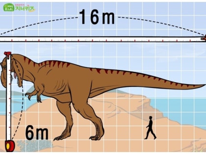 지니키즈 탐험] #1 공룡세상의 폭군 도마뱀 육식공룡 '티라노사우루스' 뼈 구조 : 네이버 블로그