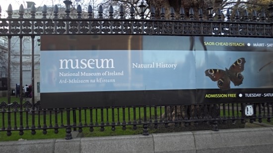 [아일랜드 더블린 + 104] 국립 자연사 박물관 / National Museum of Ireland 