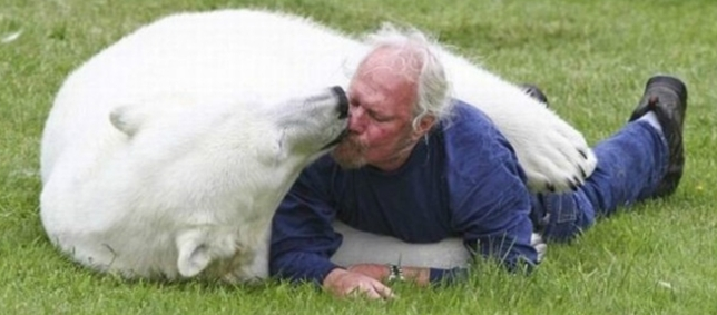 북극곰과 친구가된 사람 : 네이버 블로그