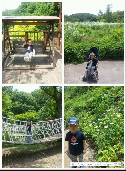  봄이 빨리 오기를 바라는 맘으로^^