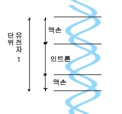 네이버 블로그