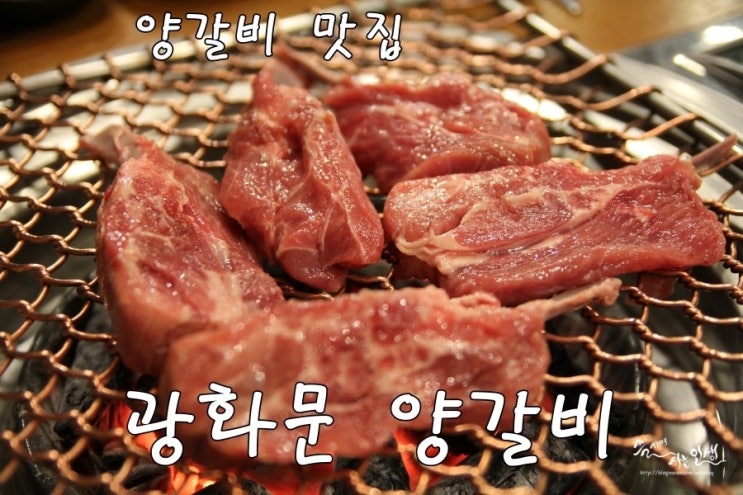  [양갈비 맛집] 광화문 양갈비