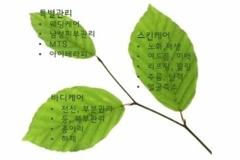 자연미인에스테틱 이미지
