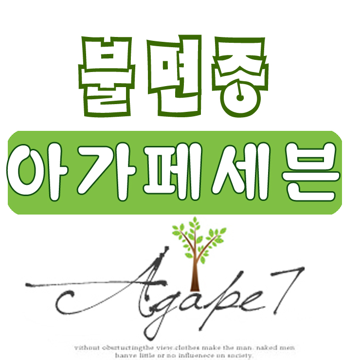  명절증후군 인한 불면증, 좋은 음식 -아가페세븐 