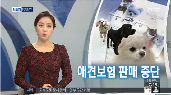 애견보험, 치료비 청구 급증에 잇따라 '판매 중단' 애견보험, 치료비 청구 급증에 잇따라 '판매 중단'