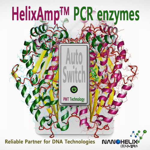 PMT Technology가 적용된 중합효소(Polymerase)