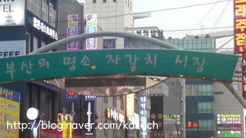 요기사이소 이미지