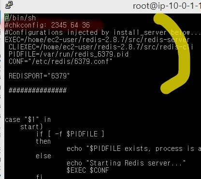  [redis] service redis_6379 does not support chkconfig 오류시