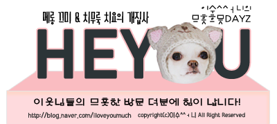 닥터 로빈의 베스트메뉴! 단호박 크림스프 집에서 만들기/홈메이드 ...