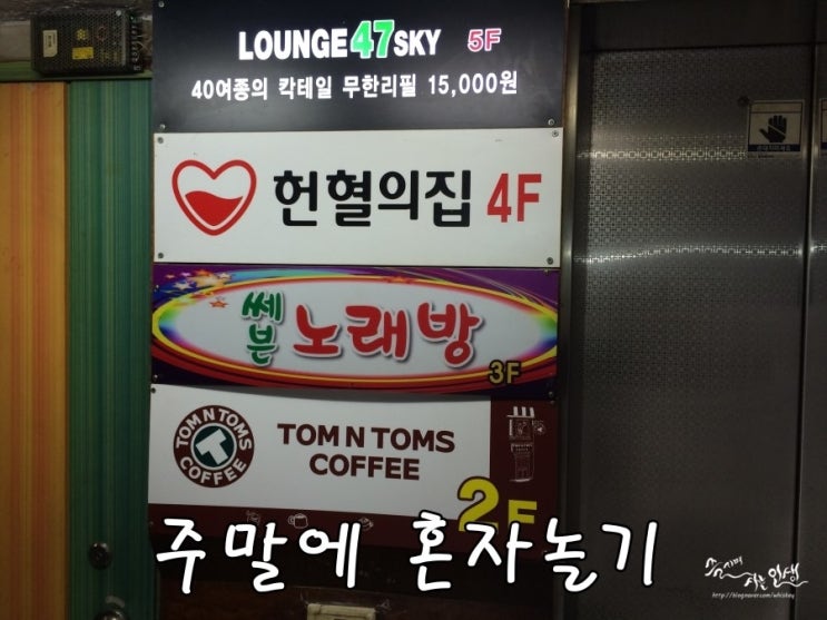  [주말 혼자 놀기] 건대에서 맛있는 스시먹고 헌혈까지