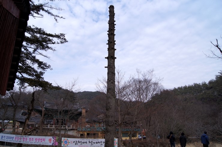  공주시 마곡사