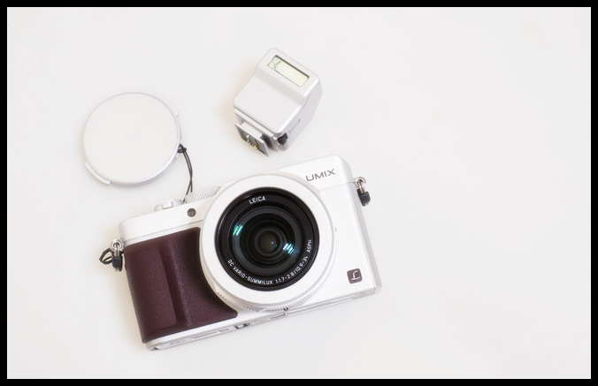 파나소닉 루믹스 LX100