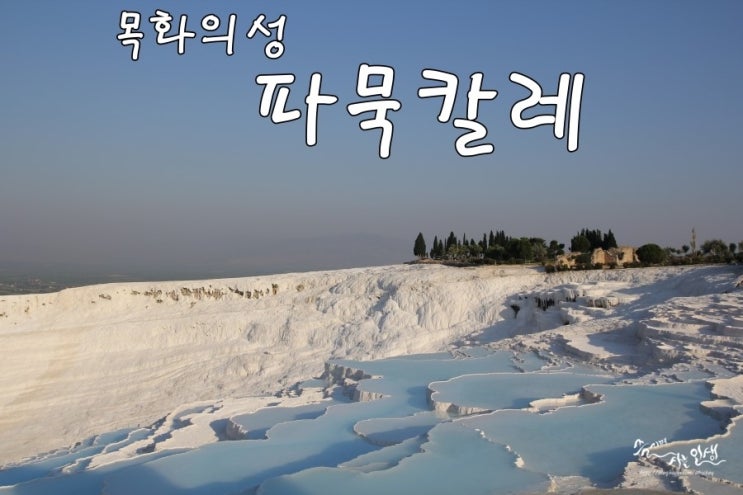  [그리스/터키 패키지 여행] 10. '목화의 성' 히에라폴리스 파묵칼레