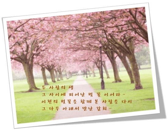  어느새 봄이다.