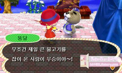 튀어나와요 동물의 숲(튀동숲) Amiibo+ 낚시대회 정리! : 네이버 블로그