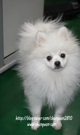  정말 훌쩍 커버린 희망군^^