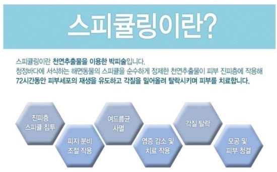   여드름 피부관리 스파큘링 필링 마포 도화동 피부관리