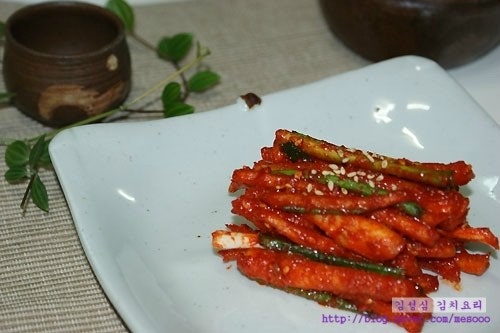 도라지 고추장 장아찌 - 도라지무침 만드는법 - 도라지 효능