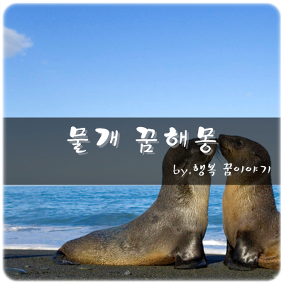 물개꿈,물개나오는꿈,물개보는꿈,물개꿈해몽 이야기