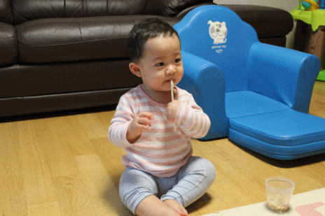  +372) 하루종일 가만 있질 않는...힘이 넘치는 튼튼이 ㅋㅋㅋ