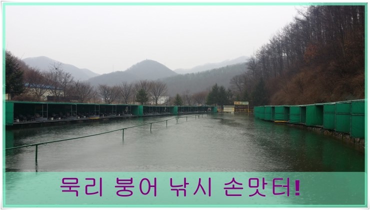  용인 묵리 낚시터 붕어 손맛터 출조기-[