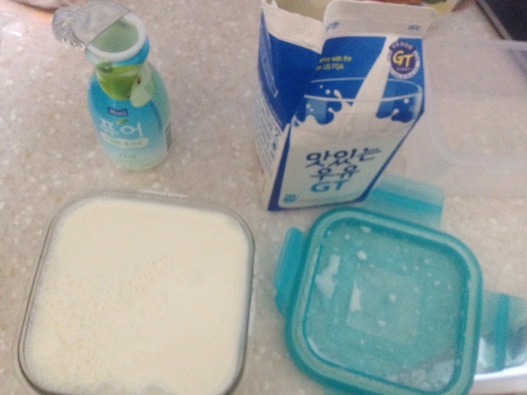  밥솥 요거트