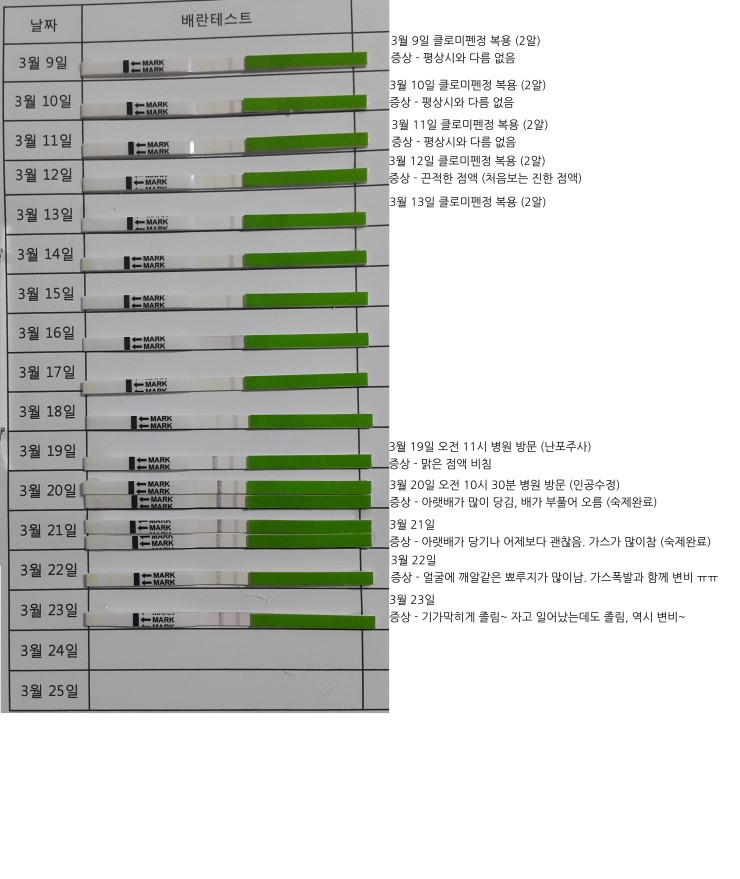 1차인공수정 전후 배란테스트와 증상정리