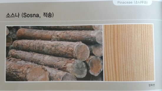  소스나(Sosna,적송),레드파인(Red pine)