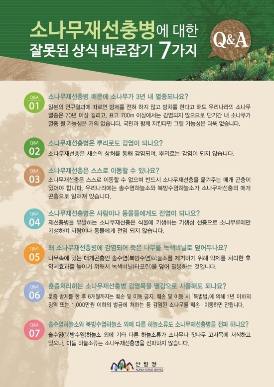  소나무재선충병에 대한 잘못된 상식