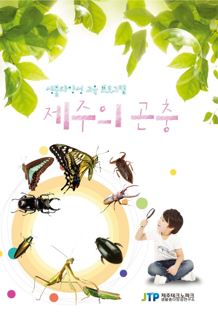  제주의 곤충
