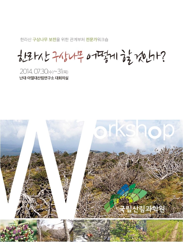  한라산 구상나무 어떻게 할 것인가