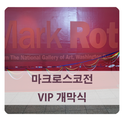  마크로스코전 VIP 개막식, 그 생생한 현장 속으로 