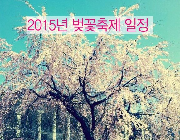  2015년 서울 벚꽃축제 일정소개할께요~