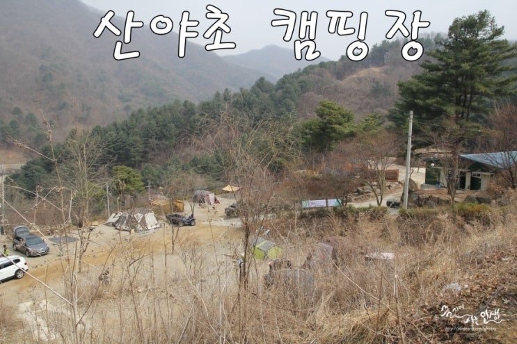  [동두천 캠핑장] 서울에서 가까운 산야초 캠핑장