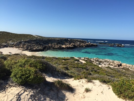 [호주/퍼스] D+9 Rottnest Island (Part.1)