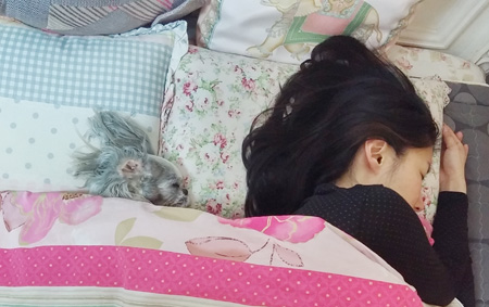 내 몽몽아 내 몽몽아
