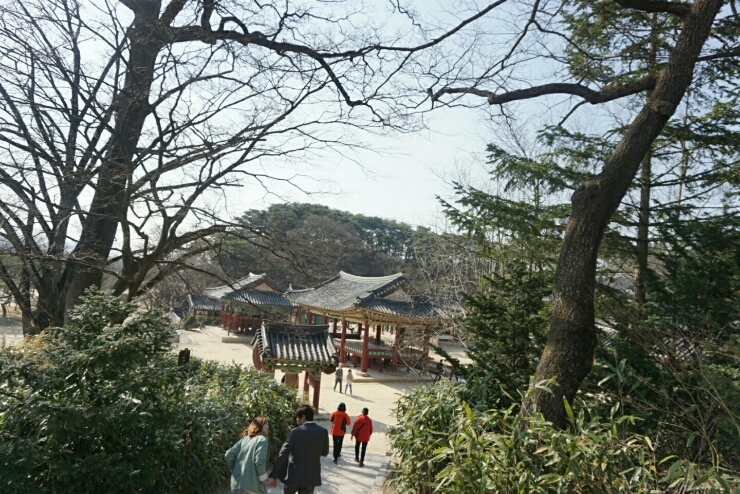  봄에 가기좋은 봄꽃여행지 여주에서 천년고찰 신륵사를 만나다.