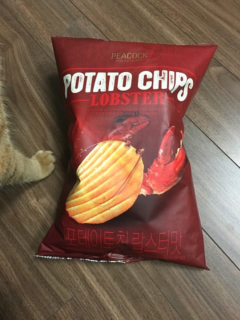  랍스터맛 과자 맛봄
