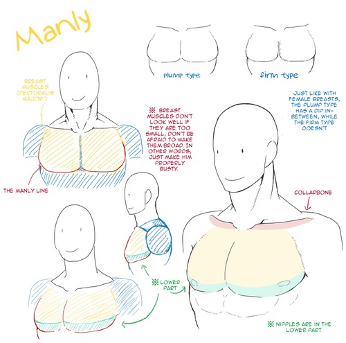 인체사진 남자몸연성 남자 인체 근육 잘그리는법 남자 인체 몸 잘그리기 남자인체구도 네이버 블로그