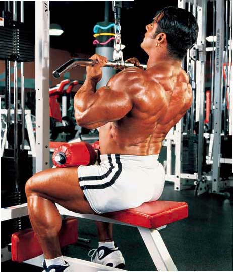 랫 풀 다운(Lat pull down)으로 등운동 효과 높이기 : 네이버 블로그 랫 풀 다운(Lat Pull Down)으로 등운동 효과 높이기 : 네이버 블로그