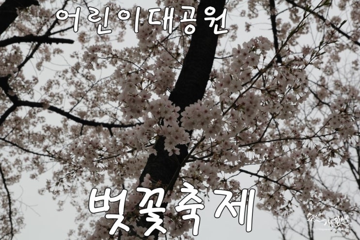  [어린이 대공원 벚꽃축제] 어린이 대공원 후문 먹거리들