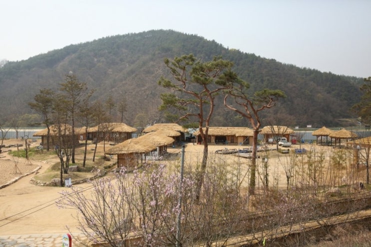  예천 삼강주막 에서 막걸리 파티