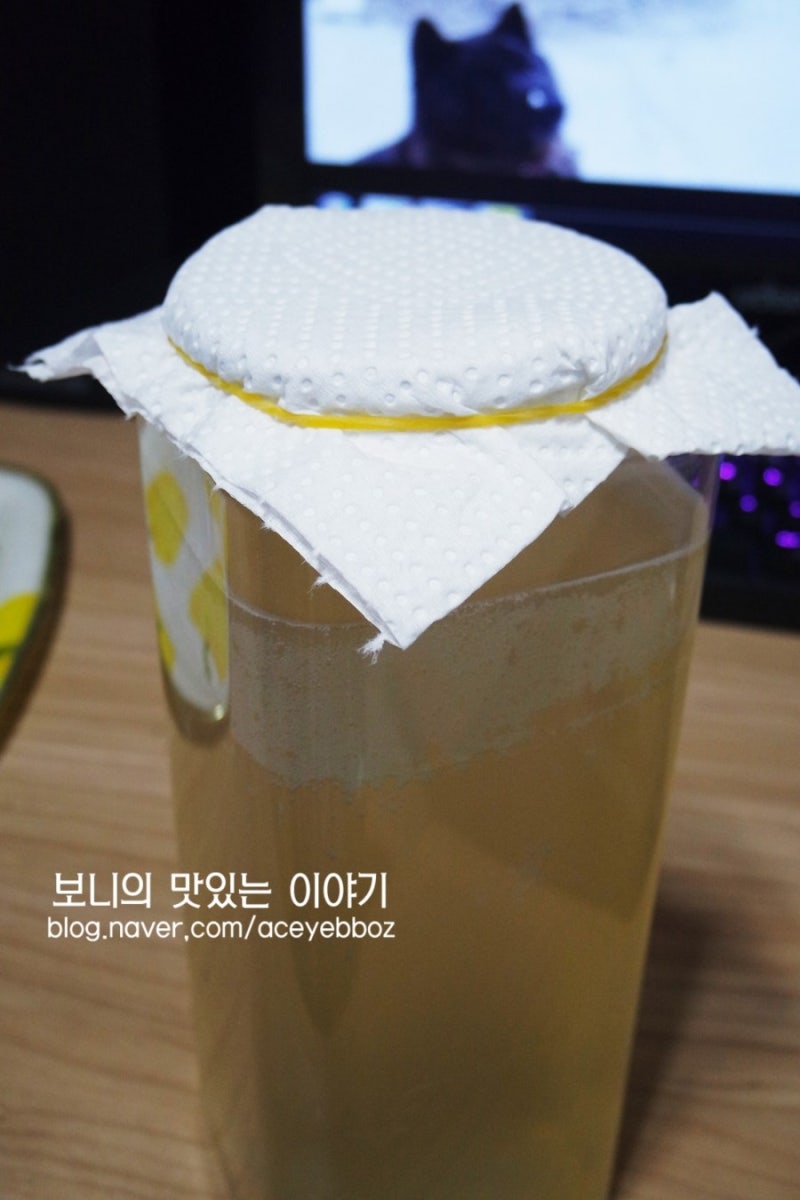 막걸리식초 만들기 :: 막걸리식초 효능