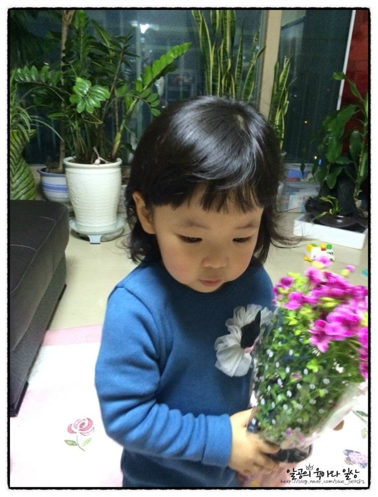 달이와 꽃ㅋㅋ 달이와 꽃ㅋㅋ