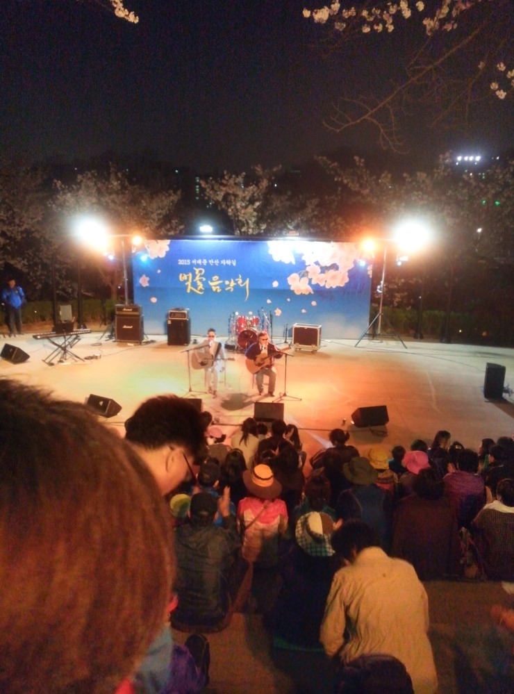  안산 벚꽃음악회